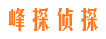 卫滨侦探公司